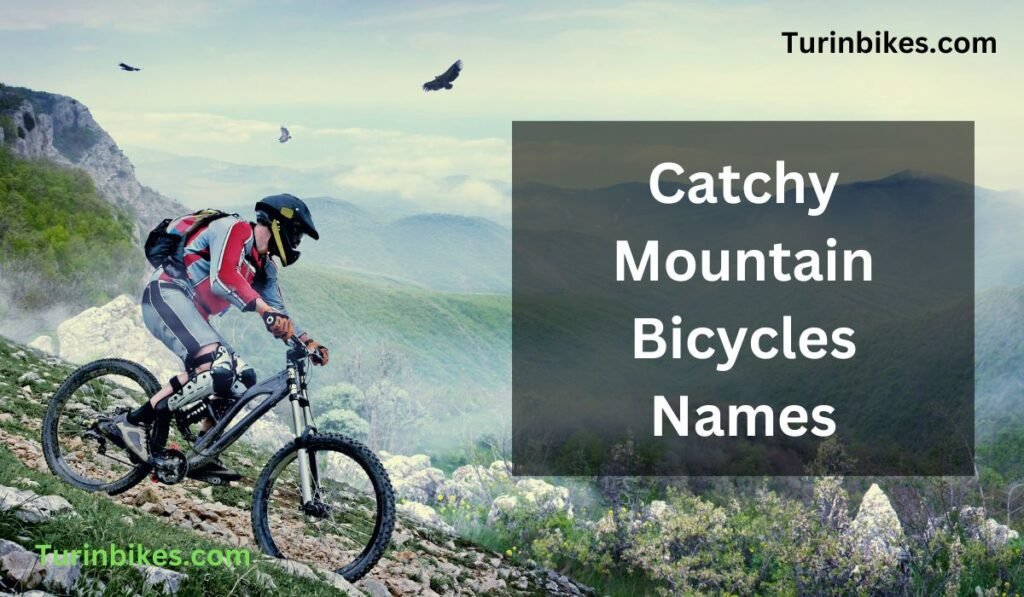 160 Best Funny and Cool mountain bike names Turinbikes