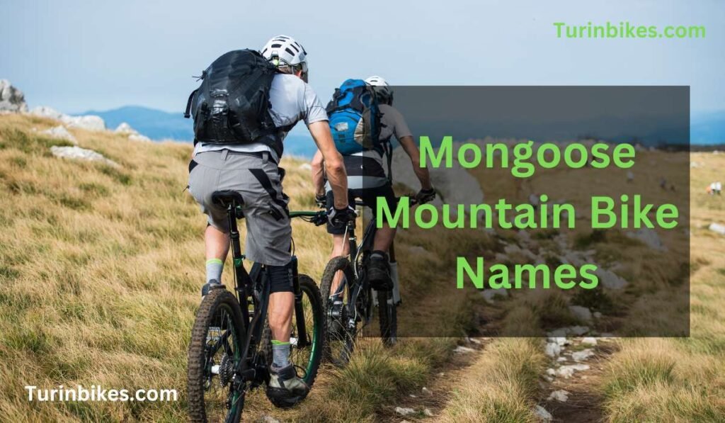 Mongoose Mountain Bike Names