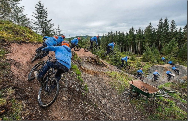 Grizedale Forest